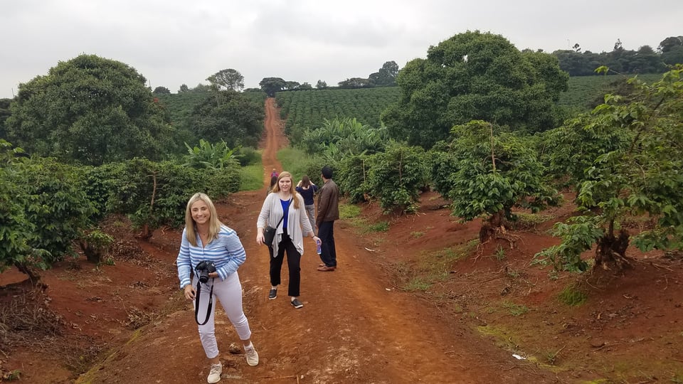 Students at a coffee farm in Nairobi, Kenya