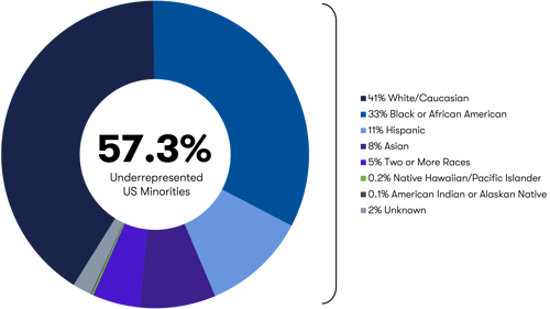 Online MBA diversity