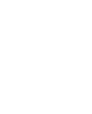 Sustainability Eagle logo