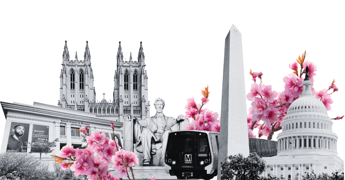 Washington DC collage