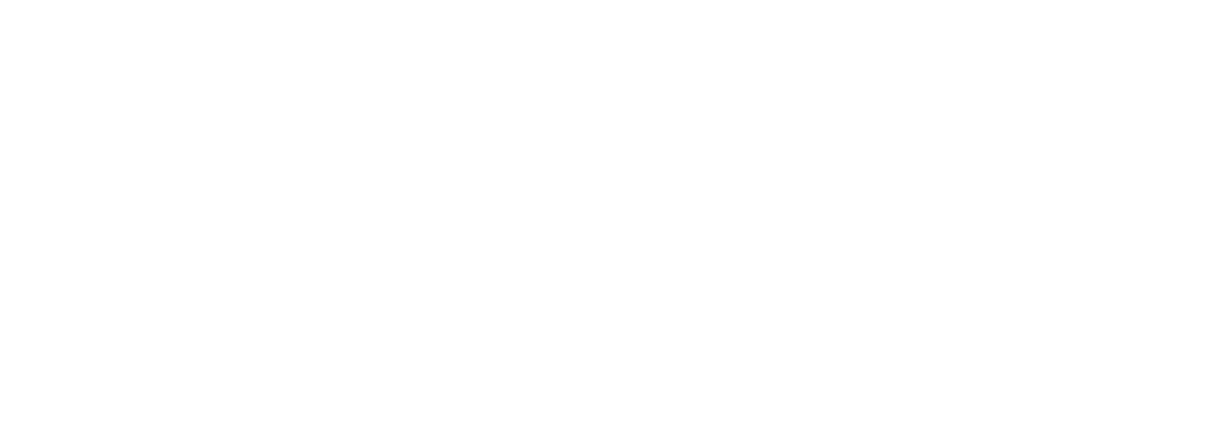 wacif_logo_white