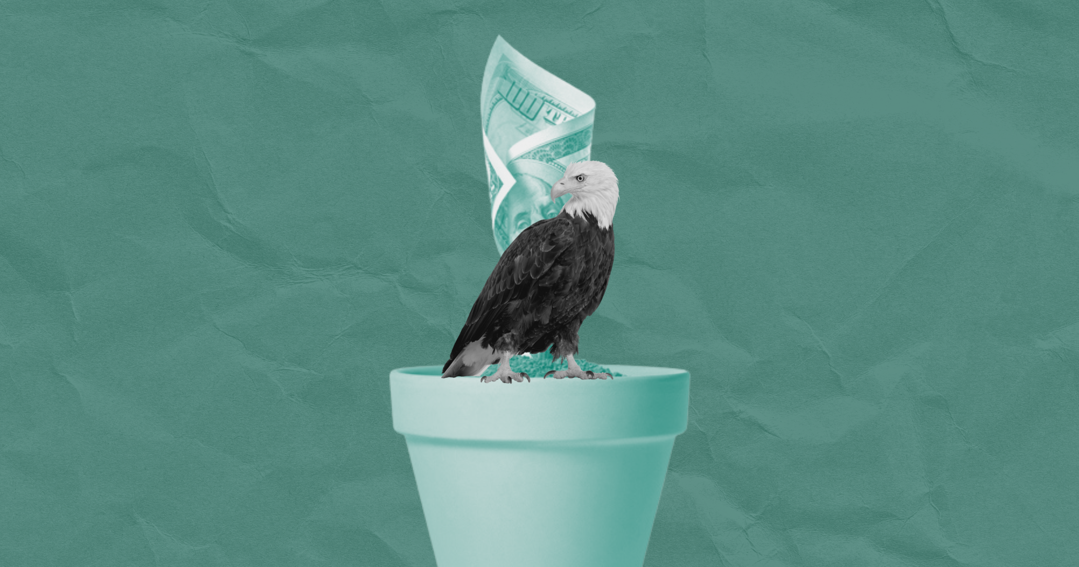 American University’s Veloric Center for Entrepreneurship Launches Student-Managed Eagle Venture Seed Fund