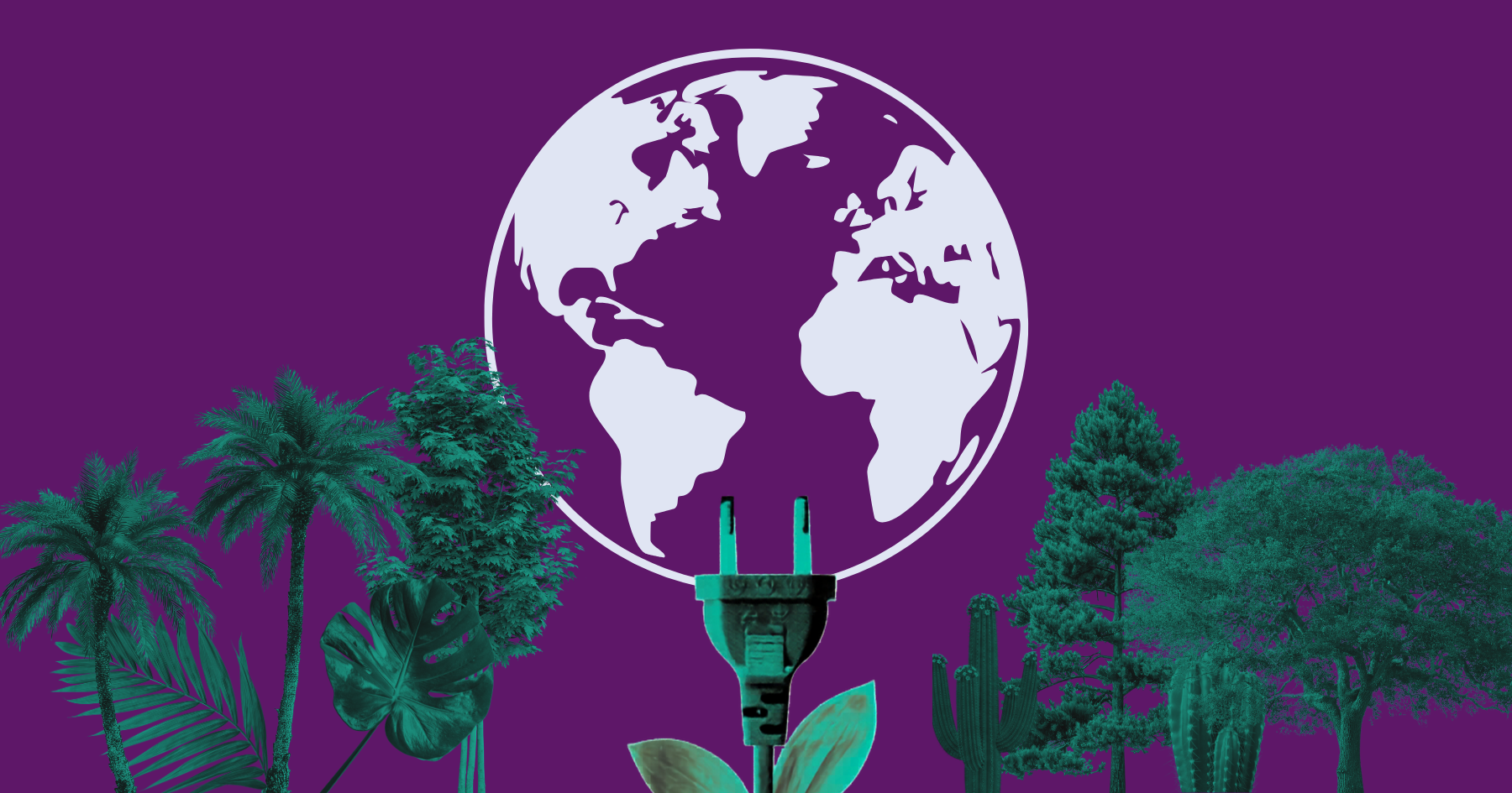 MSSM Panama immersion hero image REV