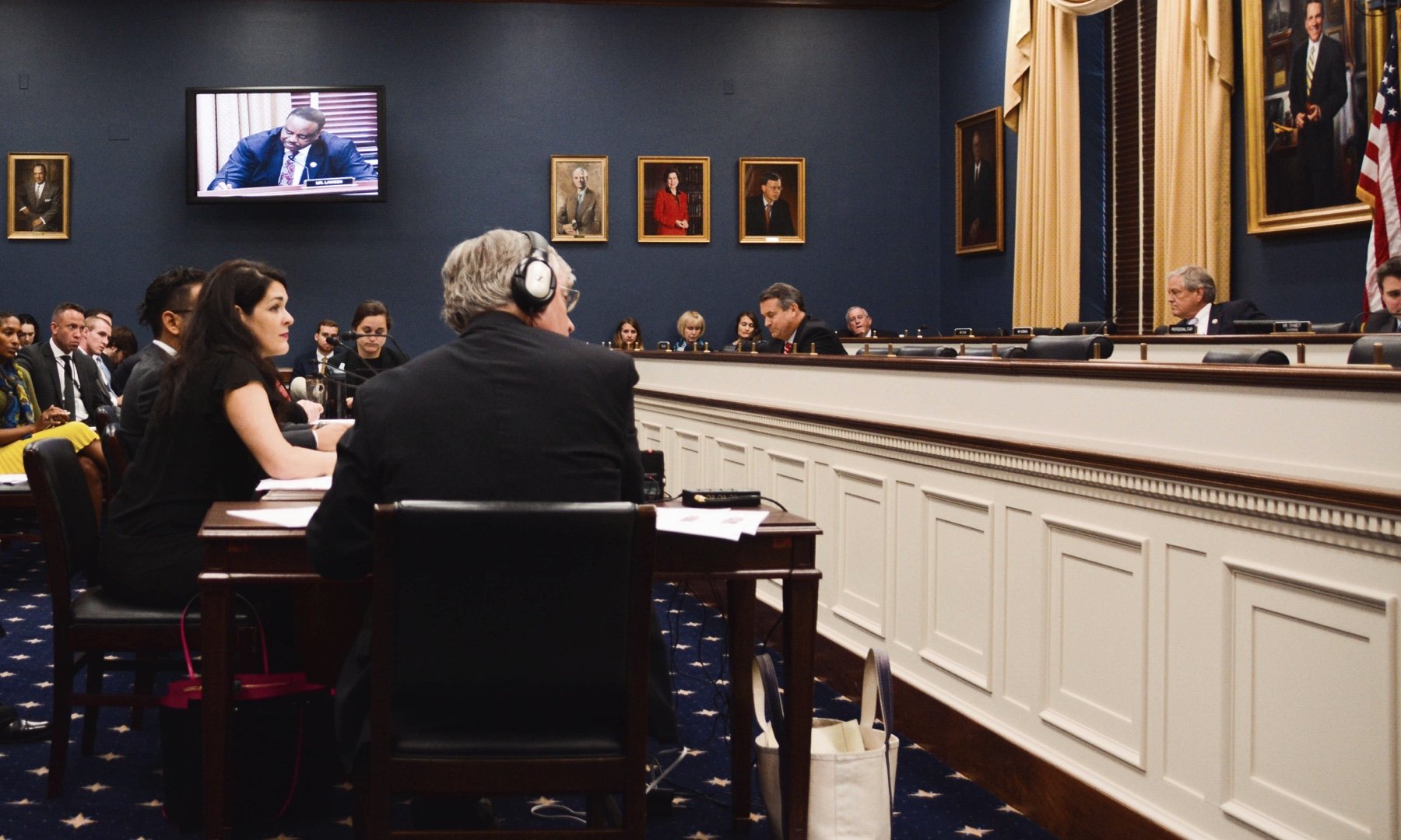 Professor Caroline Bruckner testifying before Congress