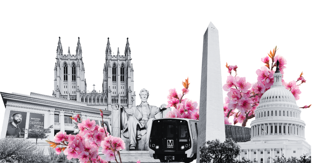 Washington DC collage