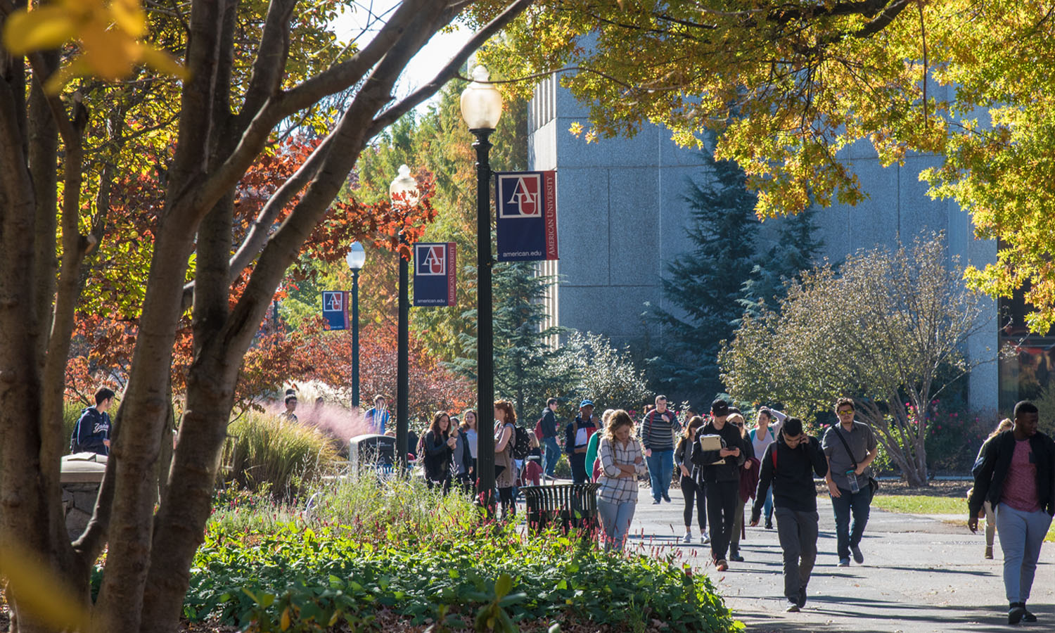 American University campus