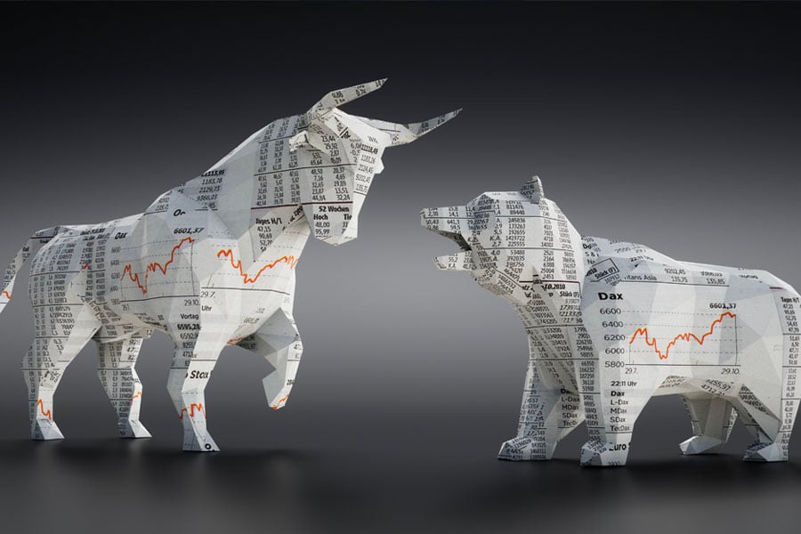 Bull and bear representing the stock market